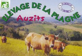 viande Bio aubrac bio à Auzits