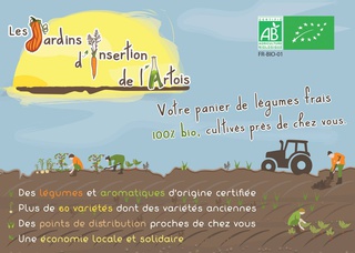 panier de légumes BIO bio à Hénin-Beaumont