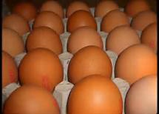 Boîte 6 oeufs Bio bio à Bazinval