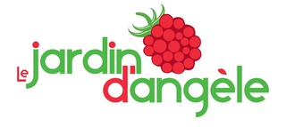 Framboises à Gomont