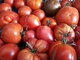 plateau de tomates anciennes BIO de 3kg bio à Hénin-Beaumont