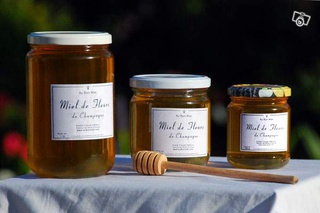 Miel de fleurs à Cernay-lès-Reims