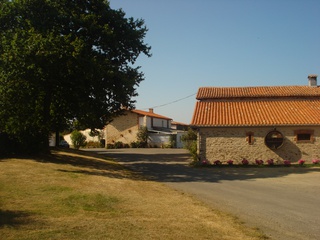 GAMAY ROUGE à Saint-Philbert-de-Bouaine
