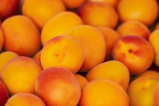 Abricots du Barroux à Le Barroux