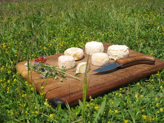 Fromages de chèvres bio à Euzet