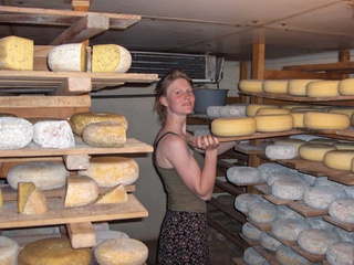 Fromage fermier biologique de Soulère bio à Sieuras