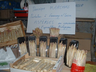 Asperges blanches et vertes bio à Gannay-sur-Loire