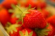 confiture de fraise 330g bio à Veix