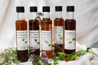 vinaigres aromatiques bio à Puylaroque