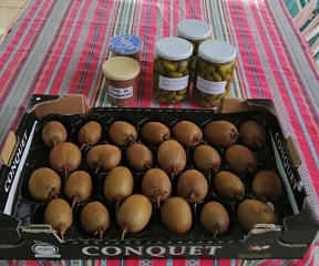 Olives lucques en bocaux à Gignac