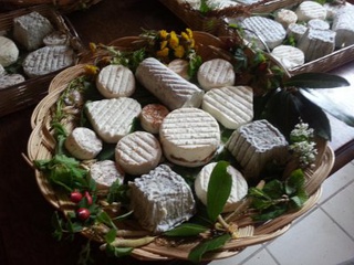Fromages de chèvres frais et secs à Auzielle