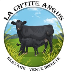 Viande de boeuf Angus - colis à Hestrus