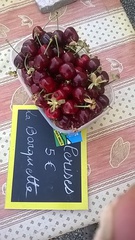 Cerises belge à Le Barroux