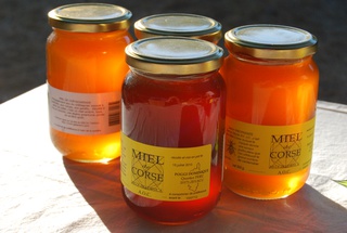 Miel AOC Corse à Zévaco