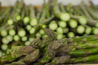 Asperges vertes à Réclainville