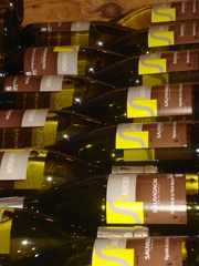 SAUVIGNON à Saint-Philbert-de-Bouaine