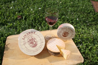 Petit Livarot au lait cru à Périers