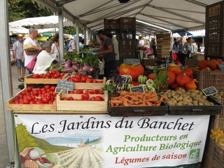 Production locale de légumes biologiques de saison bio à Bilieu