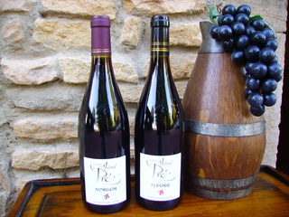 FLEURIE et MORGON 2010 à Fleurie